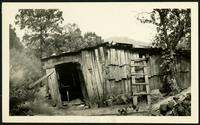 American Women's Hospitals Service photo of wooden building with a ladder (photograph), circa 1930<blockquote class="juicy-quote">A seemingly unstable but inhabited wooden home in the mountainous Applachian region of the United States.</blockquote><div class="view-evidence"><a href="https://doctorordoctress.org/islandora/object/islandora:1859/story/islandora:2085" class="btn btn-primary custom-colorbox-load"><span class="glyphicon glyphicon-search"></span> Evidence</a></div>